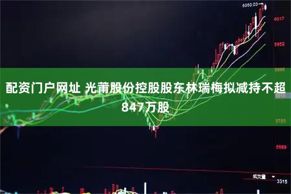 配资门户网址 光莆股份控股股东林瑞梅拟减持不超847万股